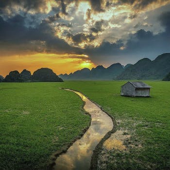 Why I'll Never Return to Vietnam: A Traveler's Ref